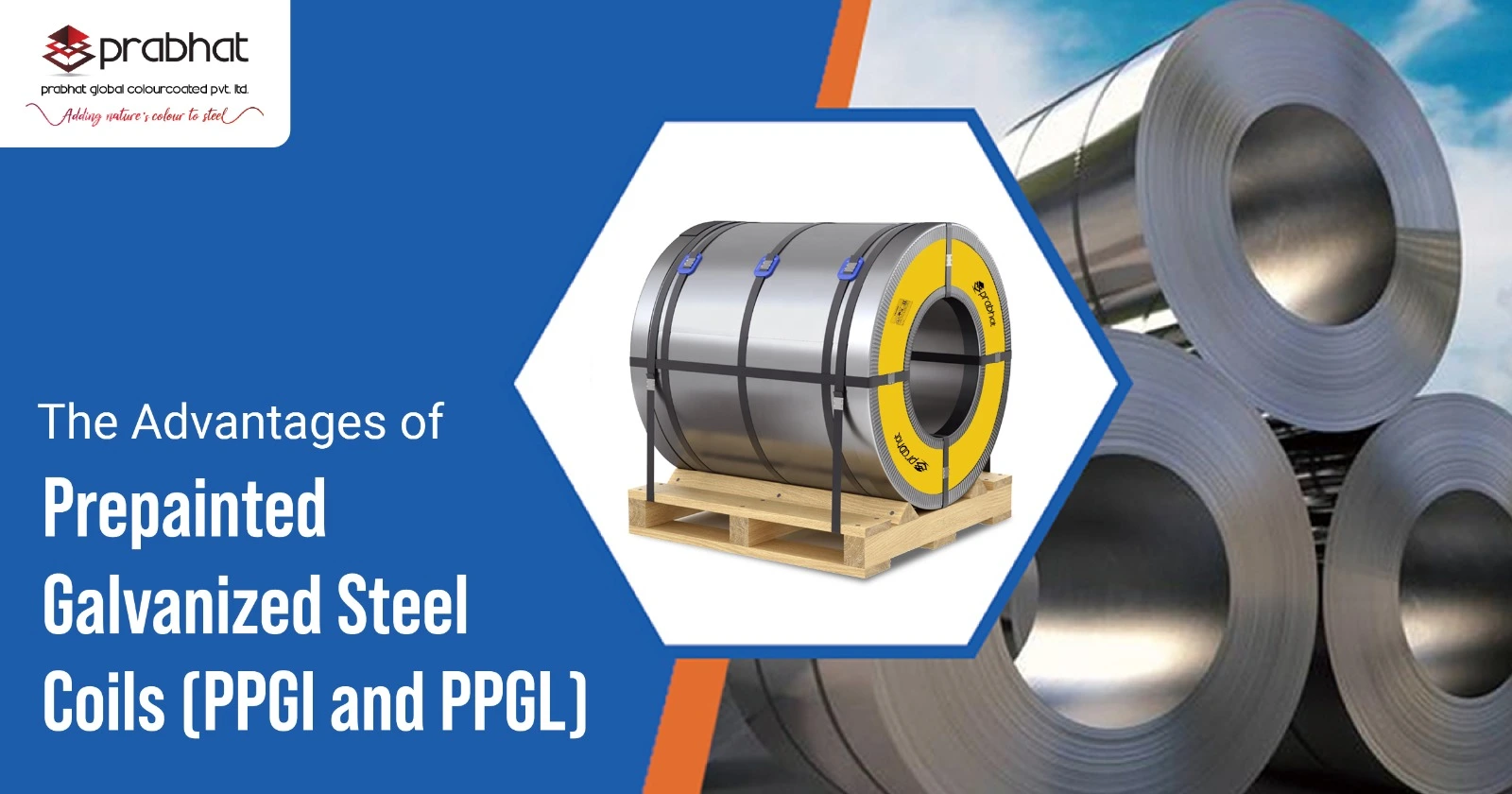 Prepainted Galvanized Steel Coil Manufacturers: Finding the Right One
